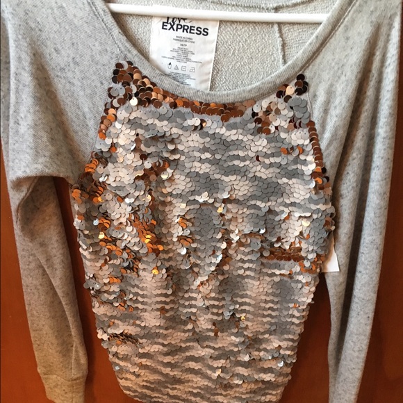 Express shimmery sweater