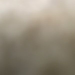 Meet your Posher, Jodie