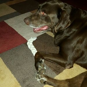 Meet your Posher, Anne