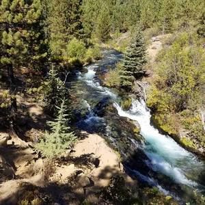 Meet your Posher, Joanna