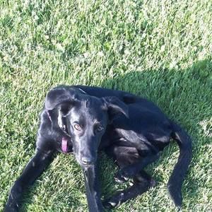 Meet your Posher, Trish