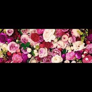 Meet your Posher, Maegan