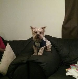 Meet your Posher, Felicia