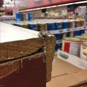 Meet your Posher, Vero