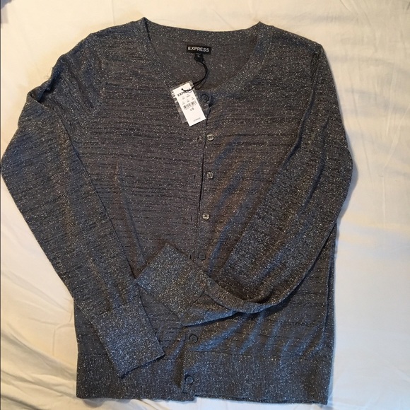 Silver metallic button down sweater