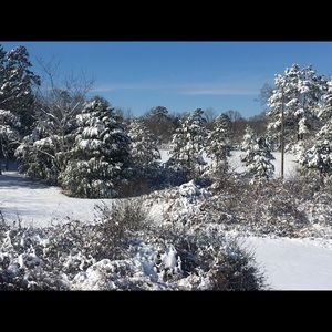 Meet your Posher, Araceli