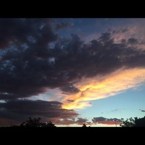 Meet your Posher, Selina