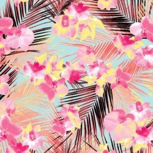 Meet your Posher, Molly