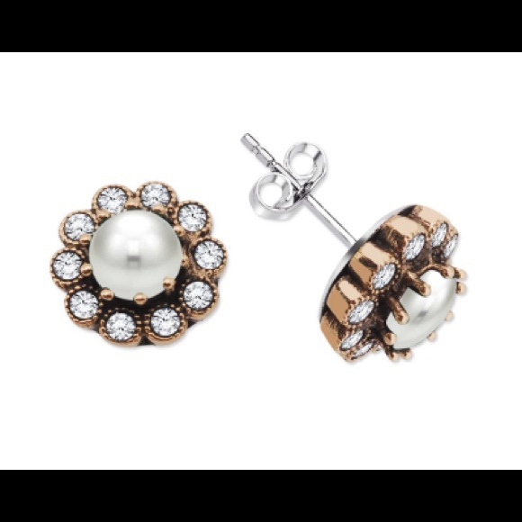 Flower Design 925 Silver Earrings With WhiteZircon