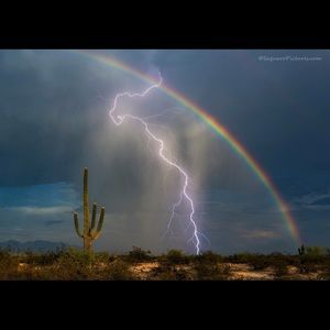 Meet your Posher, Joanie