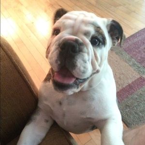 Meet your Posher, Lisa