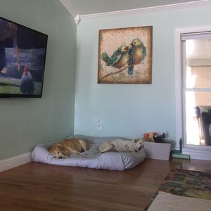 Meet your Posher, Hoon