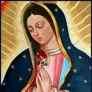 Meet your Posher, Alba