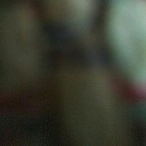 Meet your Posher, Lily