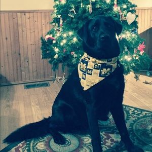 Meet your Posher, Madelynn