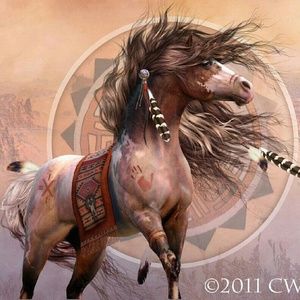 Meet your Posher, Elsa