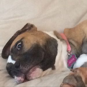 Meet your Posher, Grace