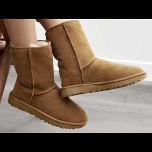 UGG- Classic Short II (Chestnut)