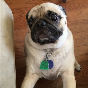 Meet your Posher, Wilma