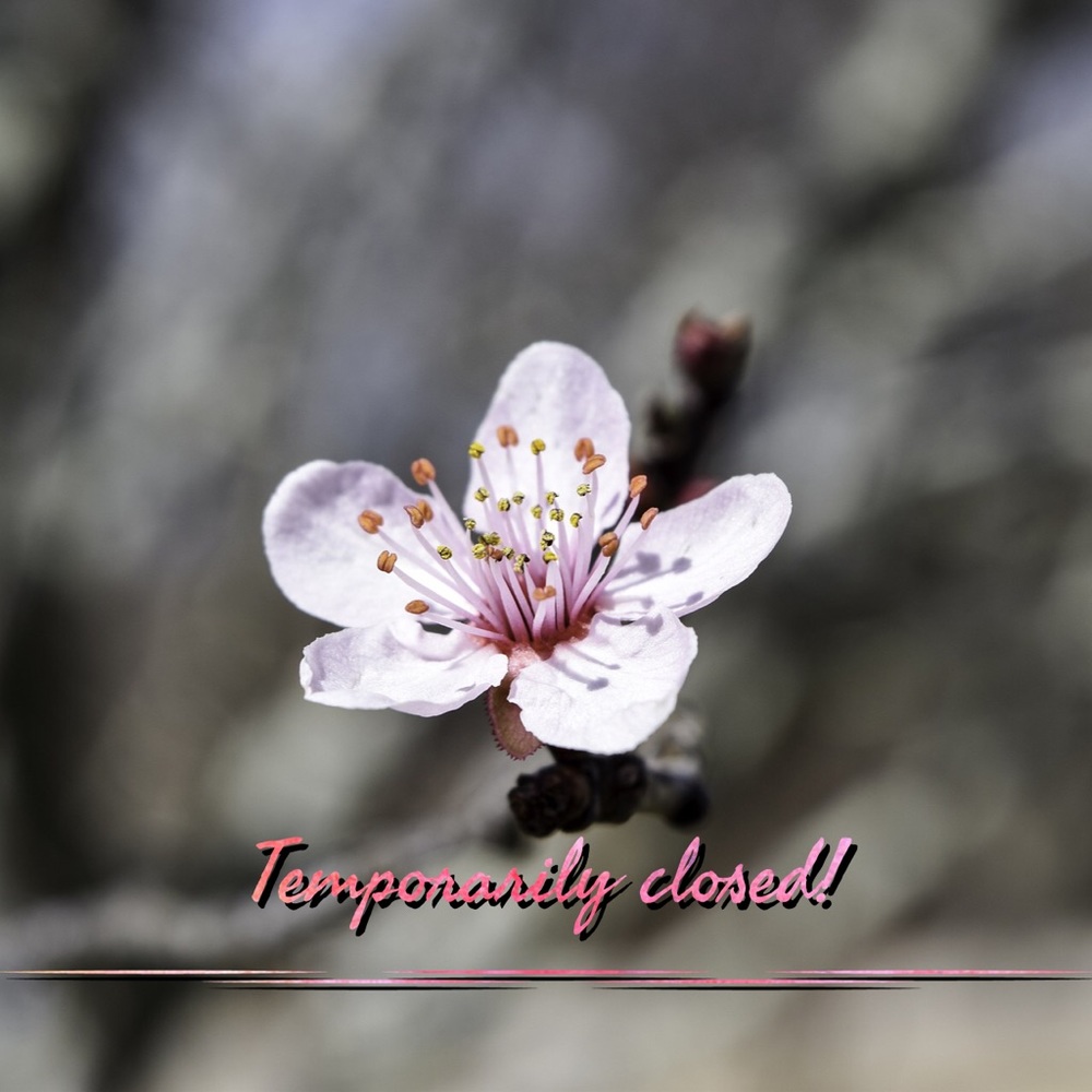 Temporarily closed. Keep checking for updates!