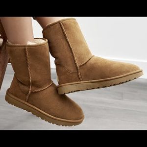 UGG- Classic Short II (Chestnut)