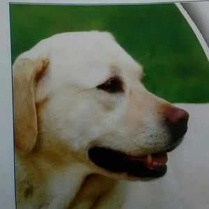 Meet your Posher, Joann