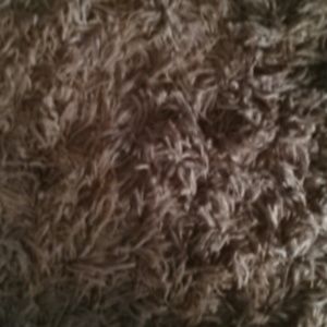 Meet your Posher, Charlotte