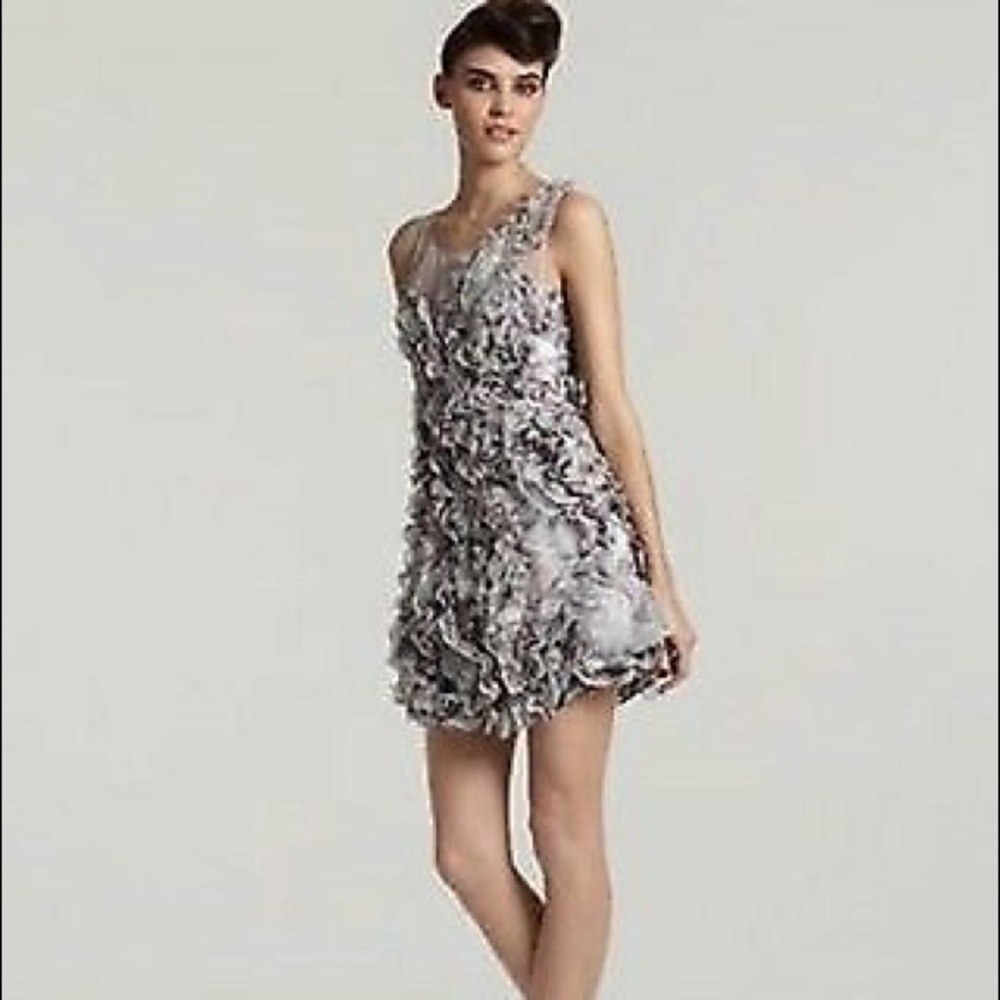 BCBGMAXAZRIA Eva Silk Organza Ruffl Dress (sold)
