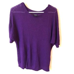 Large, Express purple sweater.