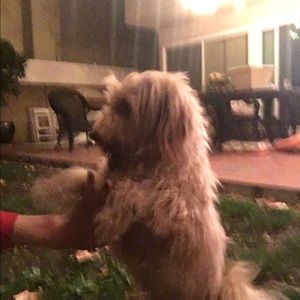 Meet your Posher, Kathleen