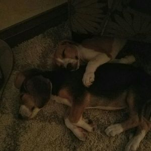 Meet your Posher, Tina