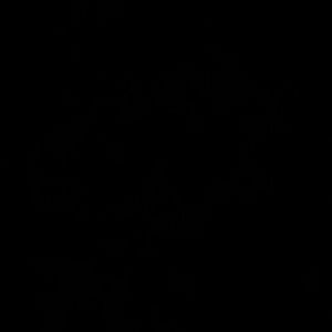 Meet your Posher, Brant