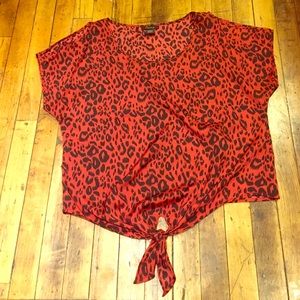 Timing cheetah print blouse