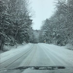 Meet your Posher, Missy