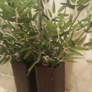 Meet your Posher, Alberto