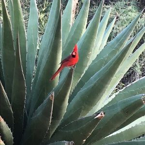 Meet your Posher, Isabelle