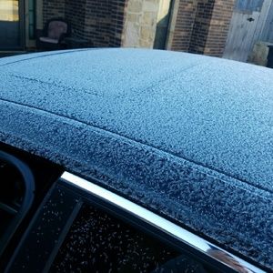 Meet your Posher, Dawn