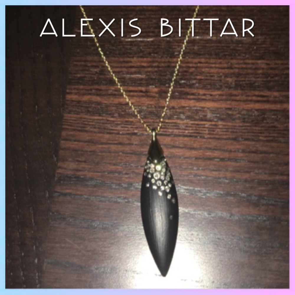 New Alexis Bittar Necklace
