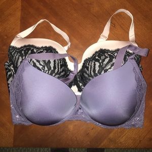 Torrid bras