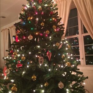 Meet your Posher, Nerea