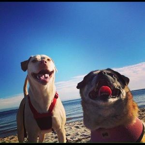 Meet your Posher, Katy