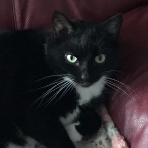 Meet your Posher, Hayley