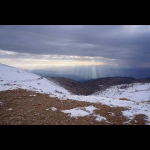 Meet your Posher, Shiri