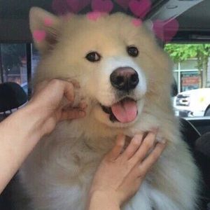 Meet your Posher, Kiersten