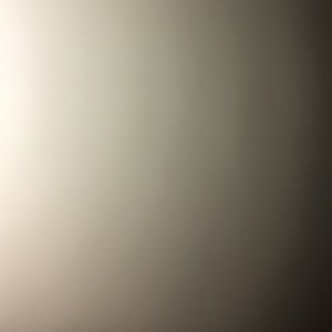 Meet your Posher, Brynn