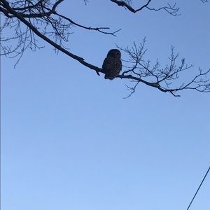 Meet your Posher, Stacey