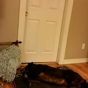 Meet your Posher, Marsha