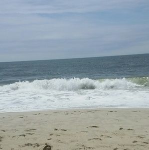 Meet your Posher, Ebony