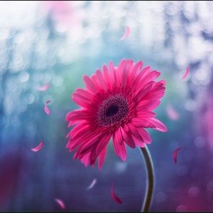 Meet your Posher, Laelle