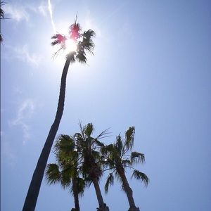 Meet your Posher, Cynthia